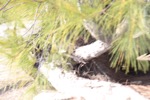 resIMG_20190704_170200_1050.JPG
